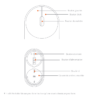 Souris XIAOMI Mi Portable Mouse Caracteristique