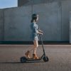 Trottinette Xiaomi Mi Electric Scooter Pro Noir Facile à utiliser Trottinette Xiaomi Mi Electric Scooter Pro Noir Facile à utiliser