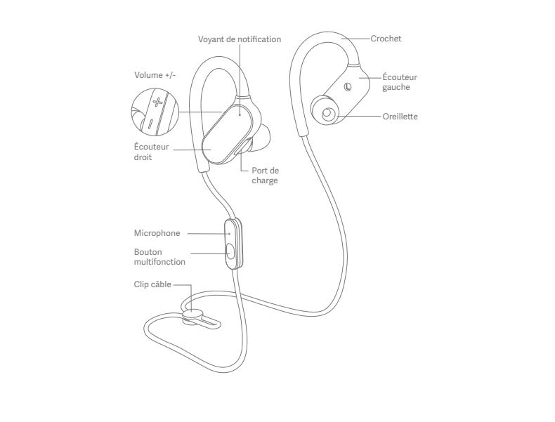 Xiaomi Mi Sports Bluetooth Earphones Instruction